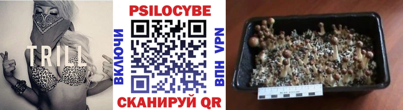 площадка как зайти  Княгинино  Псилоцибиновые грибы MAGIC MUSHROOMS 